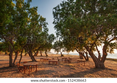 Big Calm. Empty chairs and tables between trees in warm sunset.