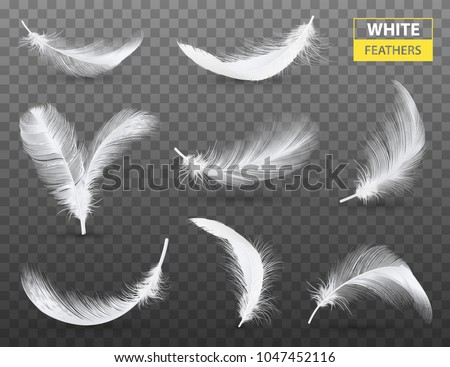 Set of isolated falling white fluffy twirled feathers on transparent background in realistic style vector illustration