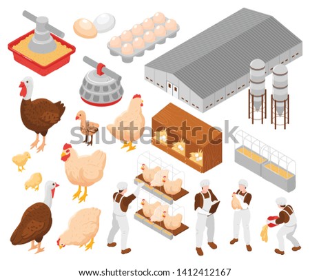 Similar – Image, Stock Photo Hen in a stable Food Meat