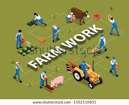 Farm work agricultural duties tools machinery isometric flowchart with milking cow feeding pig harrowing soil vector illustration 