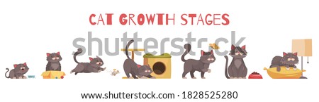 Cat growth stages composition with set of isolated icons with characters of kitten in various situations vector illustration