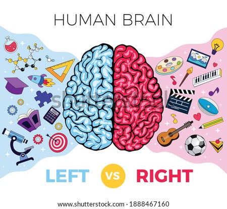 Human brain anatomy left right functions composition with editable text and icons of creativity and knowledge vector illustration