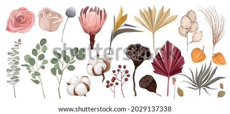 Image, Stock Photo Dried flower with seeds and dry branches against a neutral gray background in the wild, romance and primordial nature