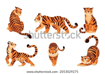 Flat set of cute tigers in various poses isolated on white background vector illustration