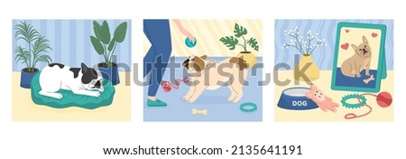 Dogs cards set with rest and activity symbols flat isolated vector illustration