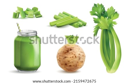 Realistic celery icon set chunks of sliced stem round root and green smoothie vector illustration