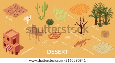 Desert isometric infographics with dry soils houses pavement sand dunes flora and fauna items vector illustration