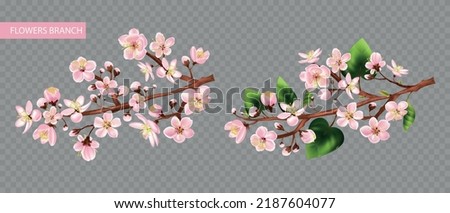 Fruit tree branch transparent set with flowers realistic isolated vector illustration