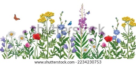 Similar – Image, Stock Photo Flowering field with tansy and various flowering plants as an insect paradise, in the background an old building and trees