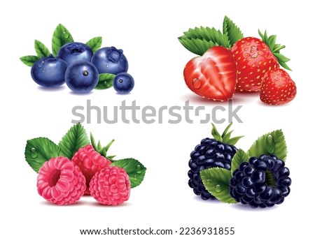 Realistic berries transparent set with isolated images of raspberry strawberry blackberry and cranberry berries with leaves vector illustration