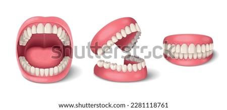 Human teeth dental anatomy set with realistic jaws isolated vector illustration