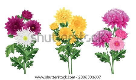 Similar – Image, Stock Photo Yellow chrysanthemum bouquet on yellow background. Copy space