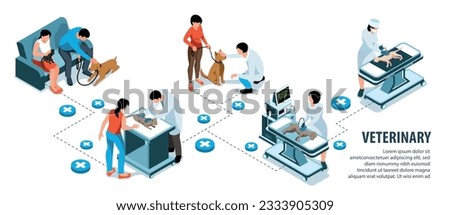Veterinary isometric infographics with vets examining cats and dogs vector illustration