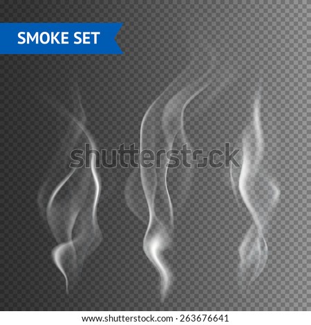 Delicate white cigarette smoke waves on transparent background vector illustration