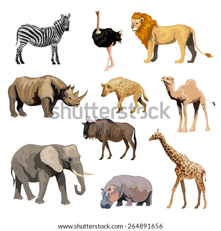 African Animals Free Illustrator Vector Pack | Download Free Vector Art ...