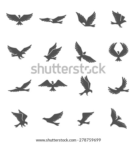 Different eagle birds spreding their wings and flying icons set isolated vector illustration
