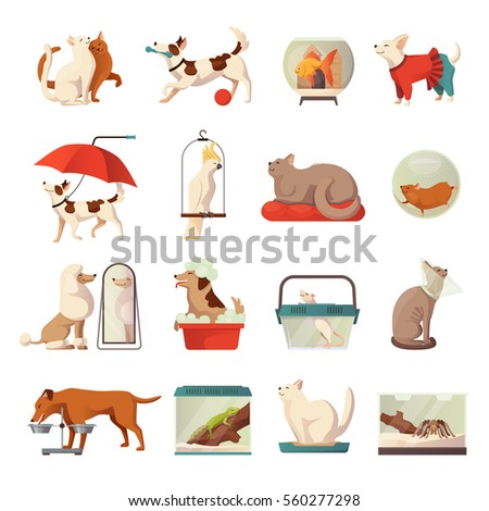 Pet shop icons set with cats and dogs flat isolated vector illustration 