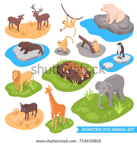 Isometric zoo decorative icons set of animals living in african arctic and asian wilderness isolated vector illustration 