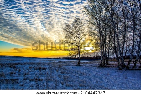 Clouds on the background of winter dawn. Cloudy sky at winter dawn. Chemtrails sky at winter dawn. Winter dawn in early morning
