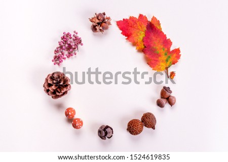 Fall decoration on white background Stock foto © 