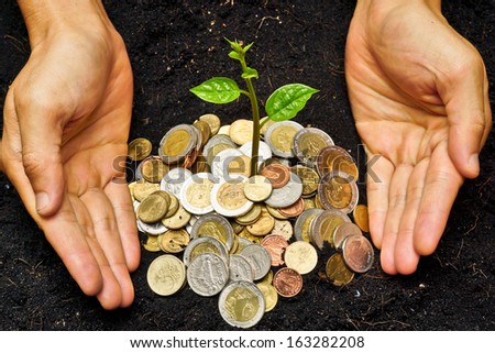 hands holding a young plant growing on coins / planting tree