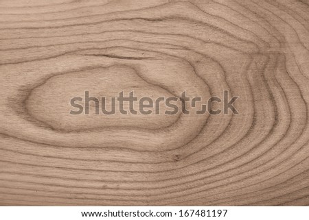 wooden texture with natural wood ring patterns