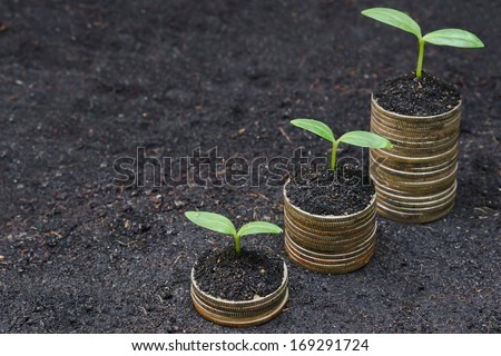 trees growing on coins / csr / sustainable development / economic growth /  trees growing on stack of coins