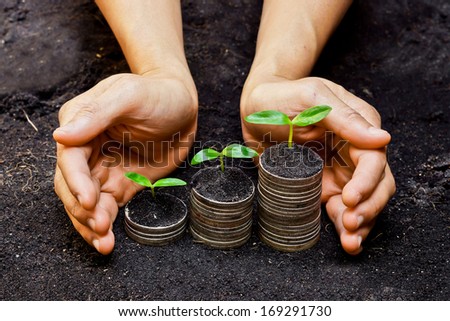 hands holding tress growing on coins / csr / sustainable development / economic growth /  trees growing on stack of coins