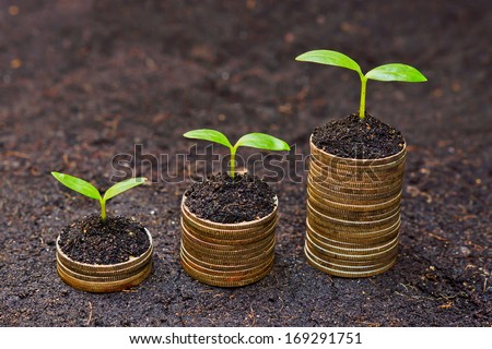 trees growing on coins / csr / sustainable development / economic growth /  trees growing on stack of coins / corporate social responsibility