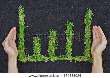 hands holding tree arranged as a green graph / csr / sustainable development / planting a tree