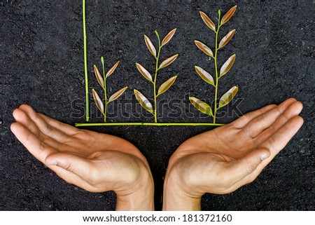 Hands holding tree arranged as a green graph / csr / sustainable development / planting a tree