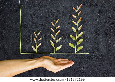 Hands holding tree arranged as a green graph / csr / sustainable development / planting a tree