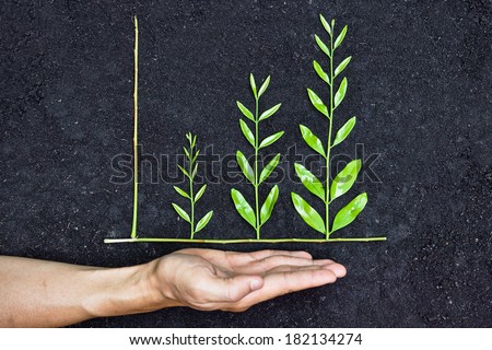 Hand holding tree arranged as a green graph on soil background / csr / sustainable development / planting a tree / corporate social responsibility