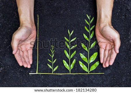 Hands holding tree arranged as a green graph on soil background / csr / sustainable development / planting a tree / corporate social responsibility