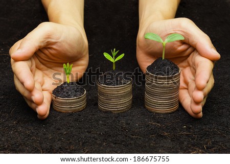 hands holding trees growing on coins / csr / sustainable development / economic growth / trees growing on stack of coins