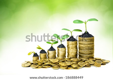 trees growing in a sequence of germination on piles of golden coins / csr / sustainable development / trees growing on stack of coins / saving