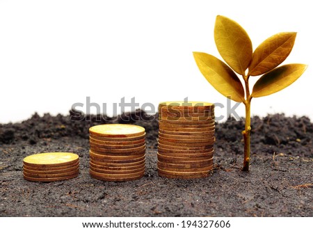 tree piles of coins with small golden tree / csr / good governance / green business / business ethics