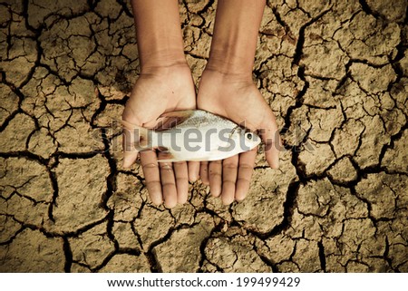 hand holding a dead fish over cracked earth