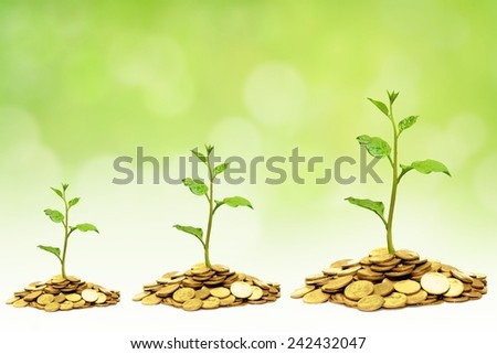 trees growing on golden coins / business growth with csr