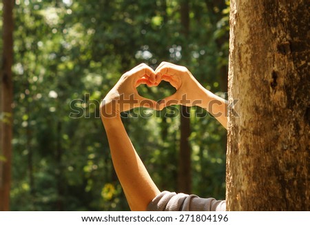 hands forming a heart shape around a big tree - protecting and love nature
