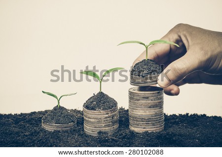Hand holding stack of golden coins with young green trees / Business with csr practice and environmental concern