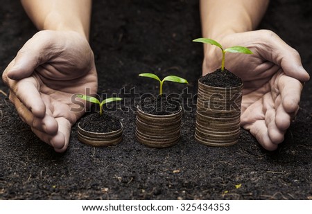 hands holding trees growing on coins / csr / sustainable development / economic growth / trees growing on stack of coins / Business with environmental concern