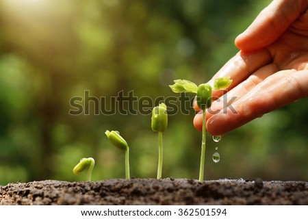 Similar – Foto Bild hand mit einer knospe darin, die einem engel ähnelt