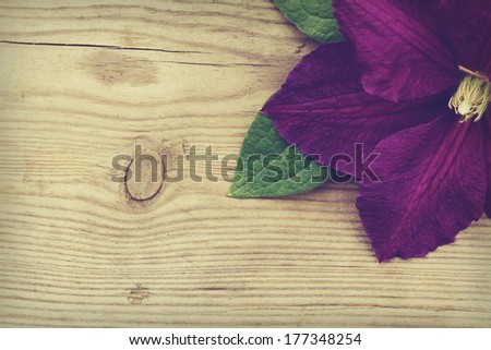 Purple Clematis on a wooden background. Floral background