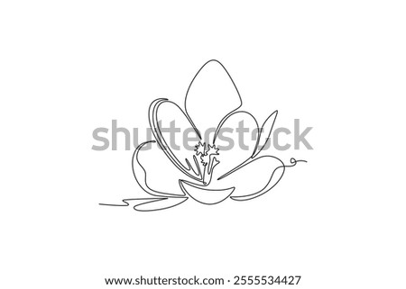 Similar – Image, Stock Photo Layout from crocus flowers