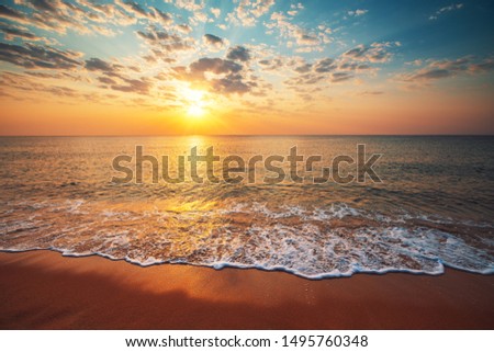 Similar – Image, Stock Photo Bird in sunrise over Joshua Tree Park, California 2022.
