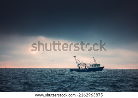 Similar – Image, Stock Photo Seagulls in the fog Autumn