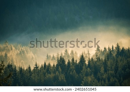 Similar – Image, Stock Photo cloud forest Fog Forest