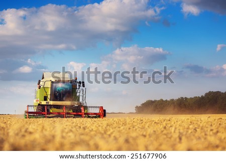 Working Harvesting Combine in the Field of Wheat