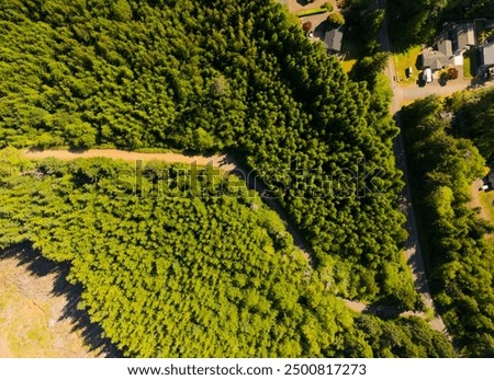 Similar – Image, Stock Photo Road running through dense forest